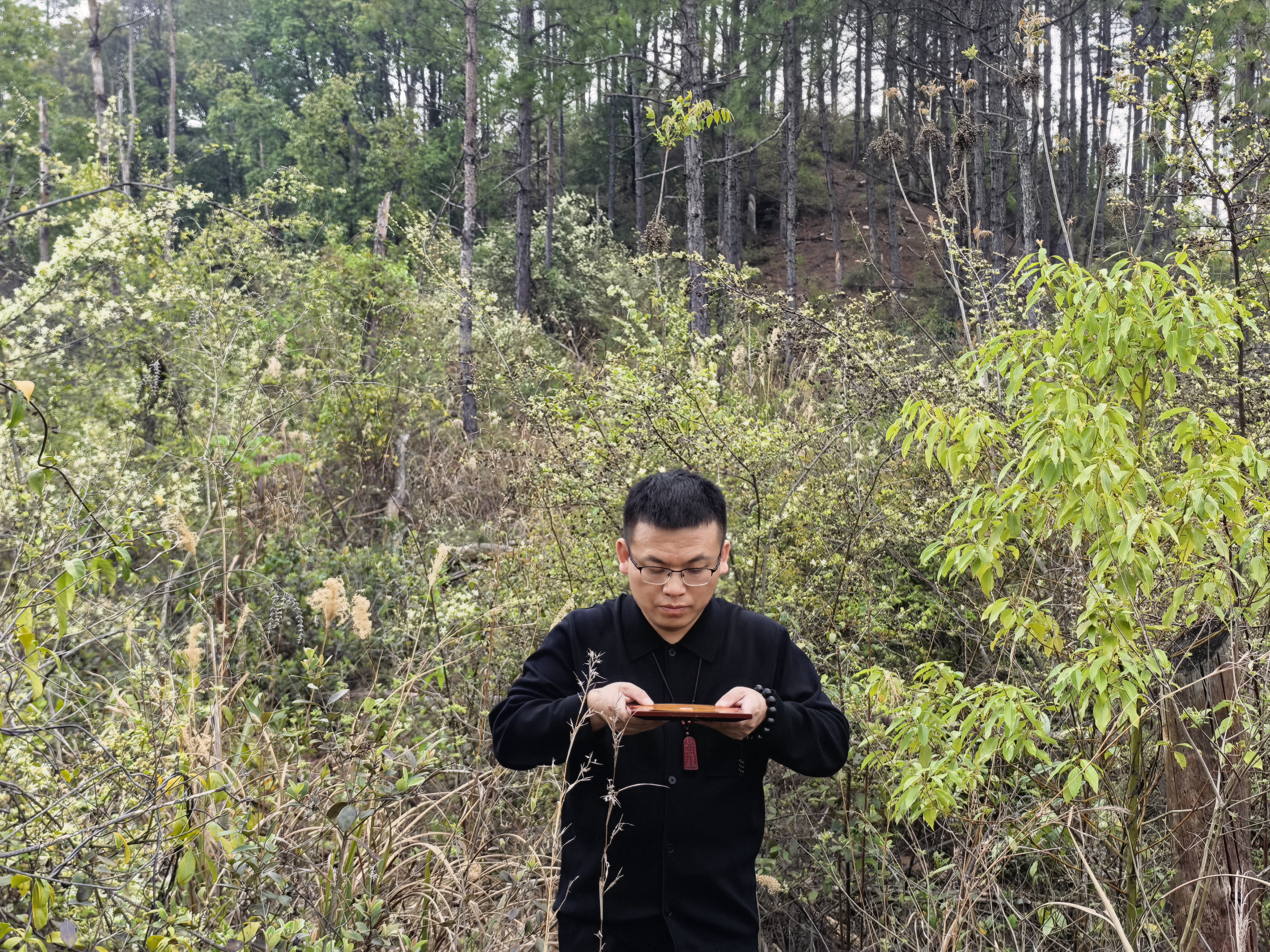 墓地过峡寻龙